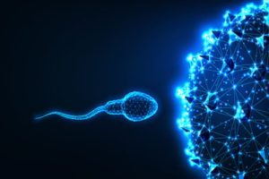 为什么有的人在试管婴儿过程中要降调节