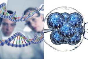 月经不调可能是怎么回事可以做佛山试管婴儿吗