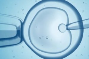 卵巢储备功能不足，如何提升怀孕率呢？