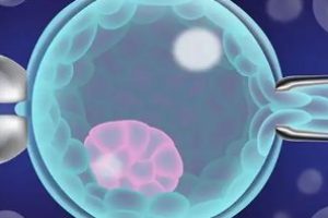 弱精子症难育能不能试管婴儿医治