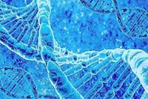 患有子宫肌瘤注意什么能不能做珠海试管婴儿助孕