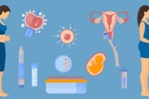 得了子宫内膜异位症适不适合珠海试管婴儿助孕