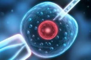 输卵管梗阻对怀孕影响是什么可以做佛山试管婴儿吗