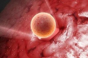 为了避免发生胎停深圳试管期间该提前做好哪些预防工作