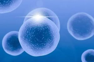 巧克力囊肿影响女性怀孕吗可以做珠海试管婴儿吗