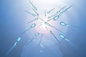 哪些因素会导致试管移植失败的发生