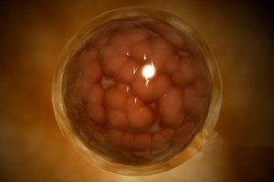 子宫内膜增生对女性备孕影响是什么可以做佛山试管婴儿吗