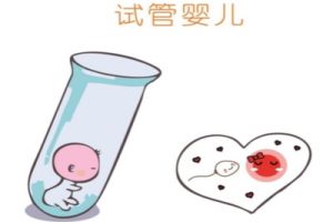 2025福州做试管婴儿多少钱？这么降低费用？