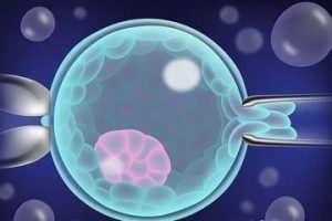 2025沈阳试管婴儿多少钱明细？