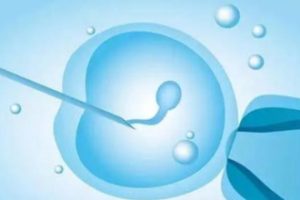 2025沈阳试管婴儿多少钱一次呢？