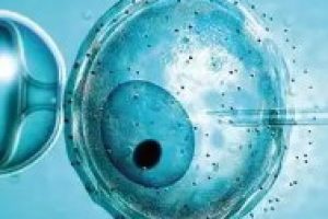 2025沈阳试管婴儿费用大约多少呢？