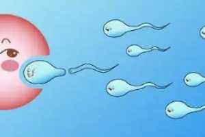 受精卵着床期间饮食有禁忌，芦荟、龟甲等东西最好都别吃