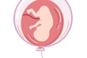 低价陷阱别信!美国试管婴儿不止十几万,具体花费明细在这里