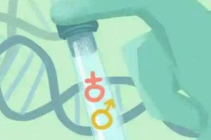 36岁反复流产，在山东做一次试管婴儿的成功率有多高？
