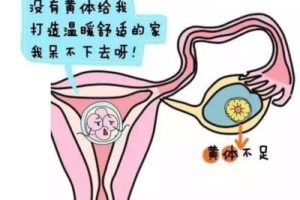 精子和卵子成功结合要多久?