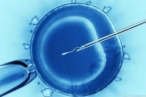 如何有效提高好孕成功率？