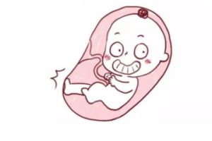 胚胎宝宝“冬眠”的秘密都在这里啦！