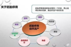 卵巢早衰，可以中山试管助孕吗？成功率高吗？