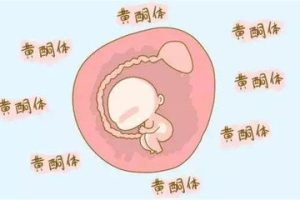 人流后卵巢会发生什么变化?