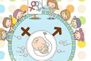 “多囊”不是病？是女性的自我保护机制？