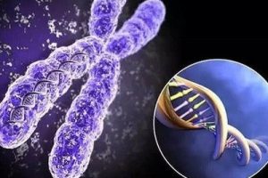 发现卵巢囊肿还能不能做“深圳试管”？