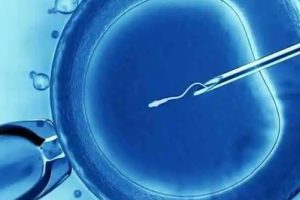 珠海试管婴儿能选择做双孩吗？