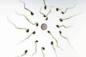 胚胎不着床，可能是哪里出了问题？