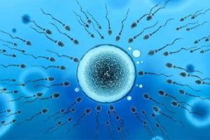 做中山试管婴儿很简单吗？这其中的三大煎熬，可是常人无法承受住的