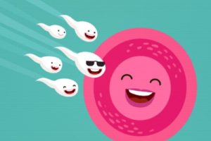 甲状腺功能紊乱会影响深圳试管婴儿成功率吗？