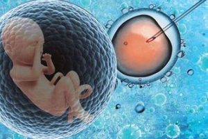 珠海试管婴儿会增加新生儿的染色体不稳定吗？珠海试管婴儿手术会改变染色体的结构吗