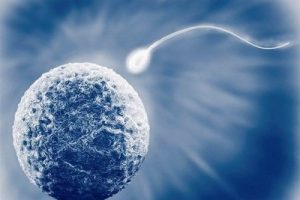 珠海试管婴儿和普通受孕的宝宝有什么不一样吗？珠海试管婴儿怀孕的宝宝是自己的亲生宝宝吗？