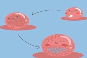 试管能解决卵子染色体异常吗？卵子染色体异常率说的是什么？试管婴儿保障大龄女性健康生育！