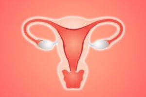 有卵黄囊了是不是就比较安全了？(b超监测有卵黄囊基本是宫内妊娠)，试管移植多少周能看到胎芽、胎心？