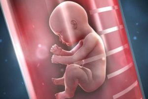 私立医院助孕试管婴儿需要哪些资质？该怎么选？又如何提高试管婴儿成功率？