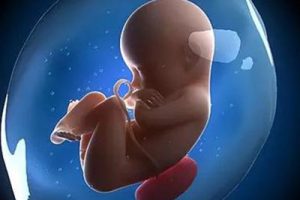 什么是子宫内膜癌？子宫长了癌还有机会生育宝宝吗？子宫内膜癌患者能否通过中山试管婴儿技术实现生育梦想？