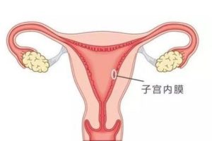 中山试管婴儿前女性需要做哪些医学检查？中山试管婴儿备孕期间应如何改善生活习惯？