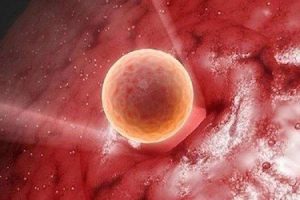 中山市试管费用