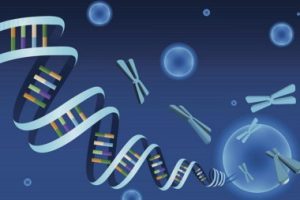 汕头三代试管婴儿