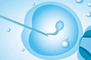 99%潮州试管姐妹可能都忽视的检查？子宫动脉血流对好孕有多重要？