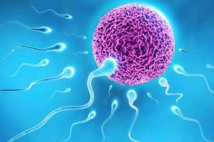 输卵管通而不畅能不能潮州试管婴儿助孕医治