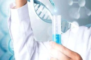 中山试管胚胎移植必须子宫内膜好