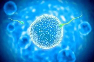 为什么会发生排卵障碍可以通过中山试管婴儿助孕吗