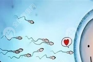 深圳试管移植时子宫环境怎么养出好内膜