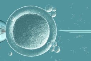 如果早睡早起是否会对深圳试管有影响呢