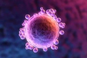 前列腺炎精子会差吗能否试管婴儿医治