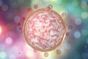 甲亢对怀孕有什么影响可以试管婴儿吗