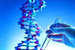 试管胚胎的着床跟子宫内膜有什么关系吗