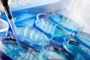 子宫肌瘤不仅仅是“肿块”:它可能影响怀孕,甚至导致试管婴儿的