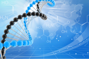 试管婴儿胚胎移植后应该如何进行调理?术前检查有什么重要性?