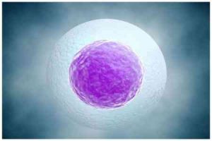 B超显示两条线=男孩?别再相信这些关于性别的谣言了!